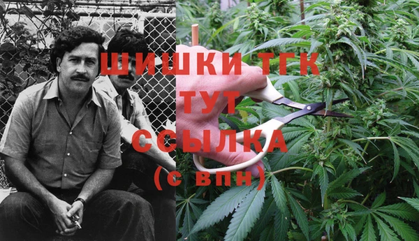 хмурый Армянск