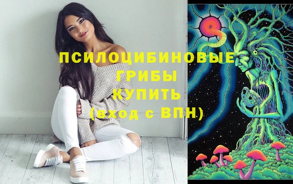 не бодяженный Аркадак